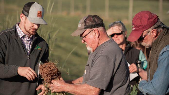 People looking at the roots of a plant