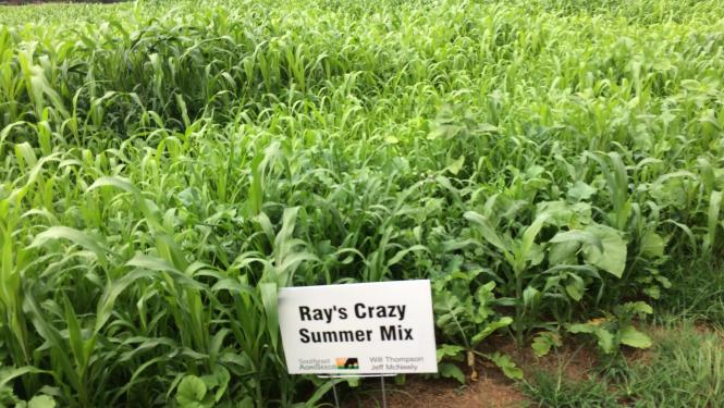 A plot showing Ray's Crazy Summer Mix