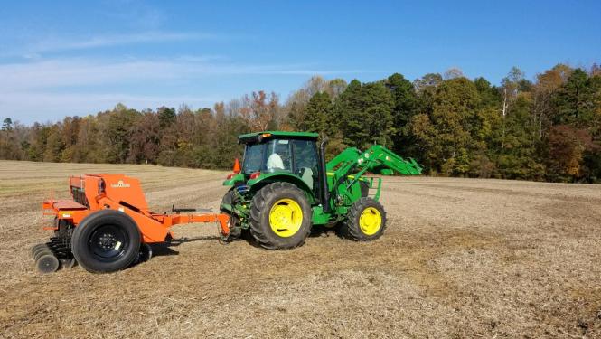 Drilling orchardgrass drilling